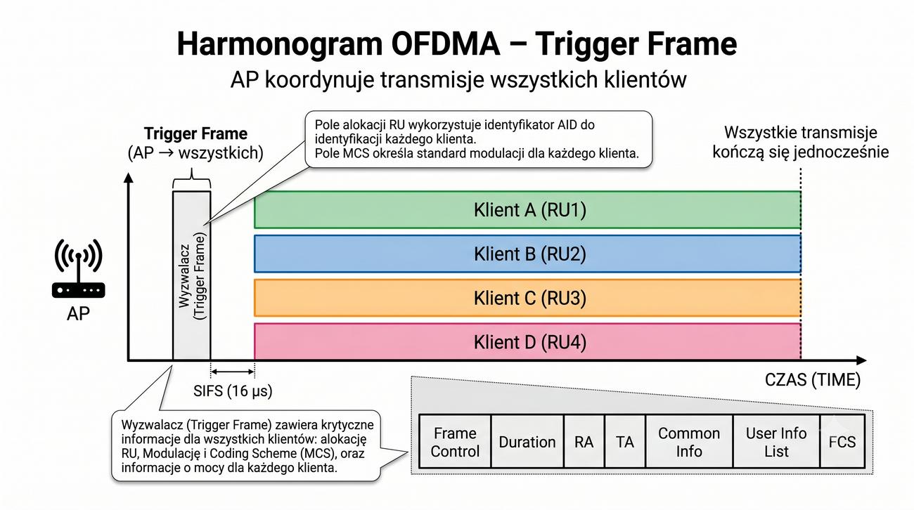 Trigger Frame i odpowiedzi klientów w RU